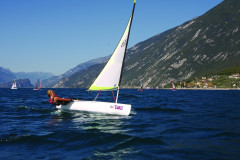 TAZ_dacron_2_web