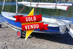 2019 Wanderer MK IV Cruiser